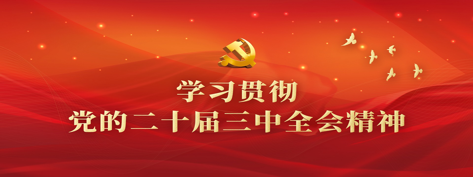 2025㱭ֻͼ