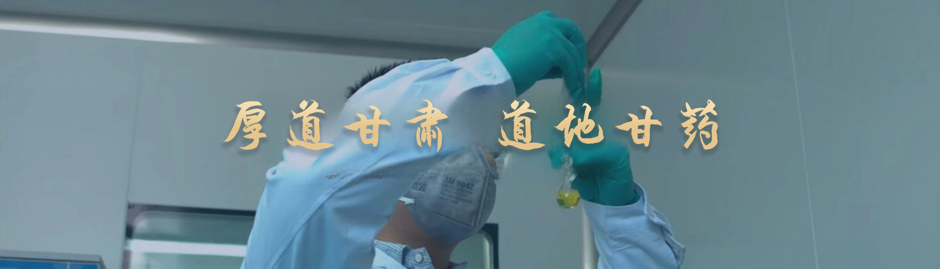 2025㱭ֻͼ