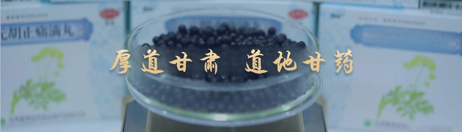 2025㱭ֻͼ